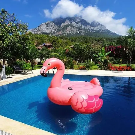 Willa Citrus Garden Kemer